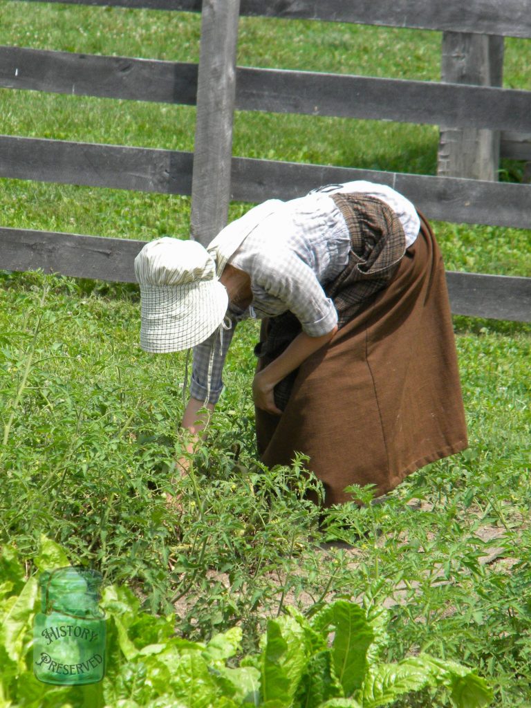 a woman in historical gab is bent over picking weeds in a garden with a wooden fence behind her