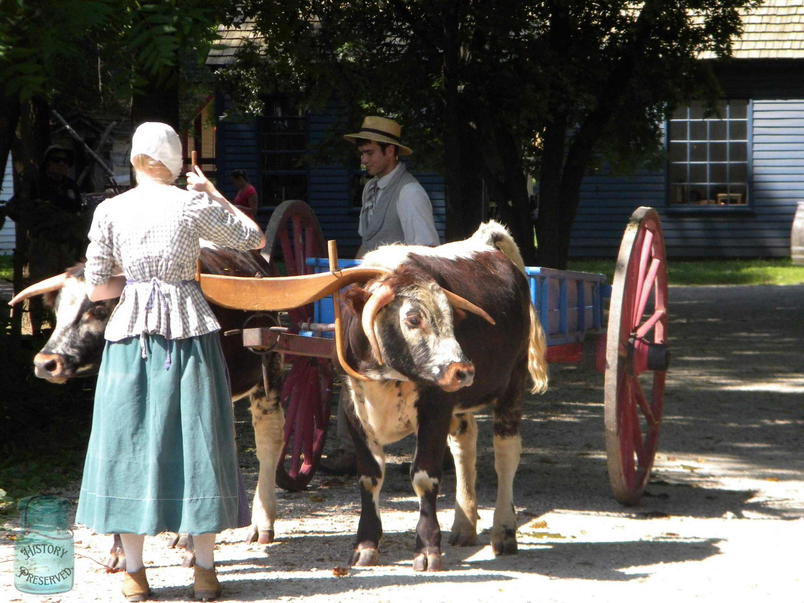 young man and young woman dressed in historical garb guiding an ox cart